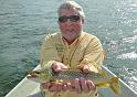 Bob's brown trout.