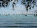 Sailing Squadron on Intracoastal Waterway looking across to downtown Sarasota.